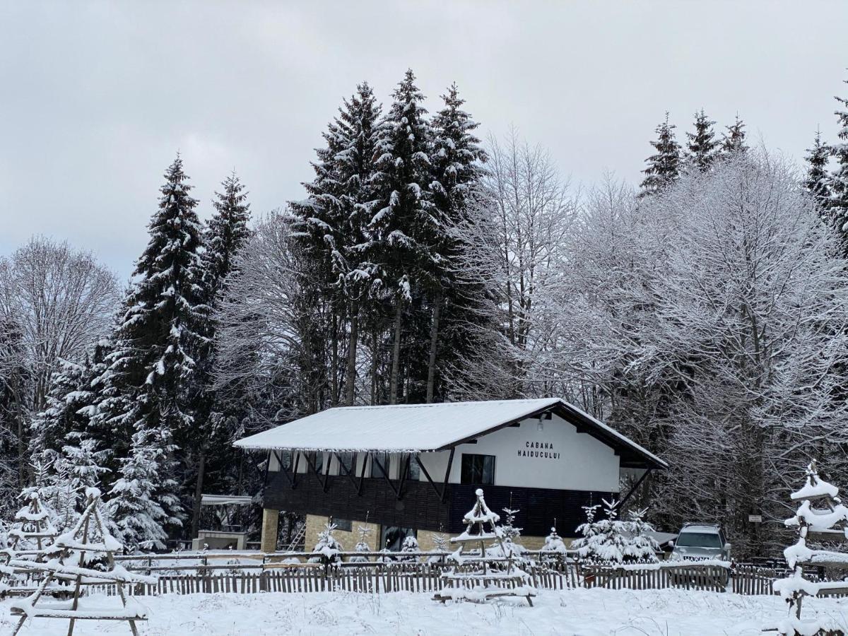 Cabana Haiducului Teşila エクステリア 写真