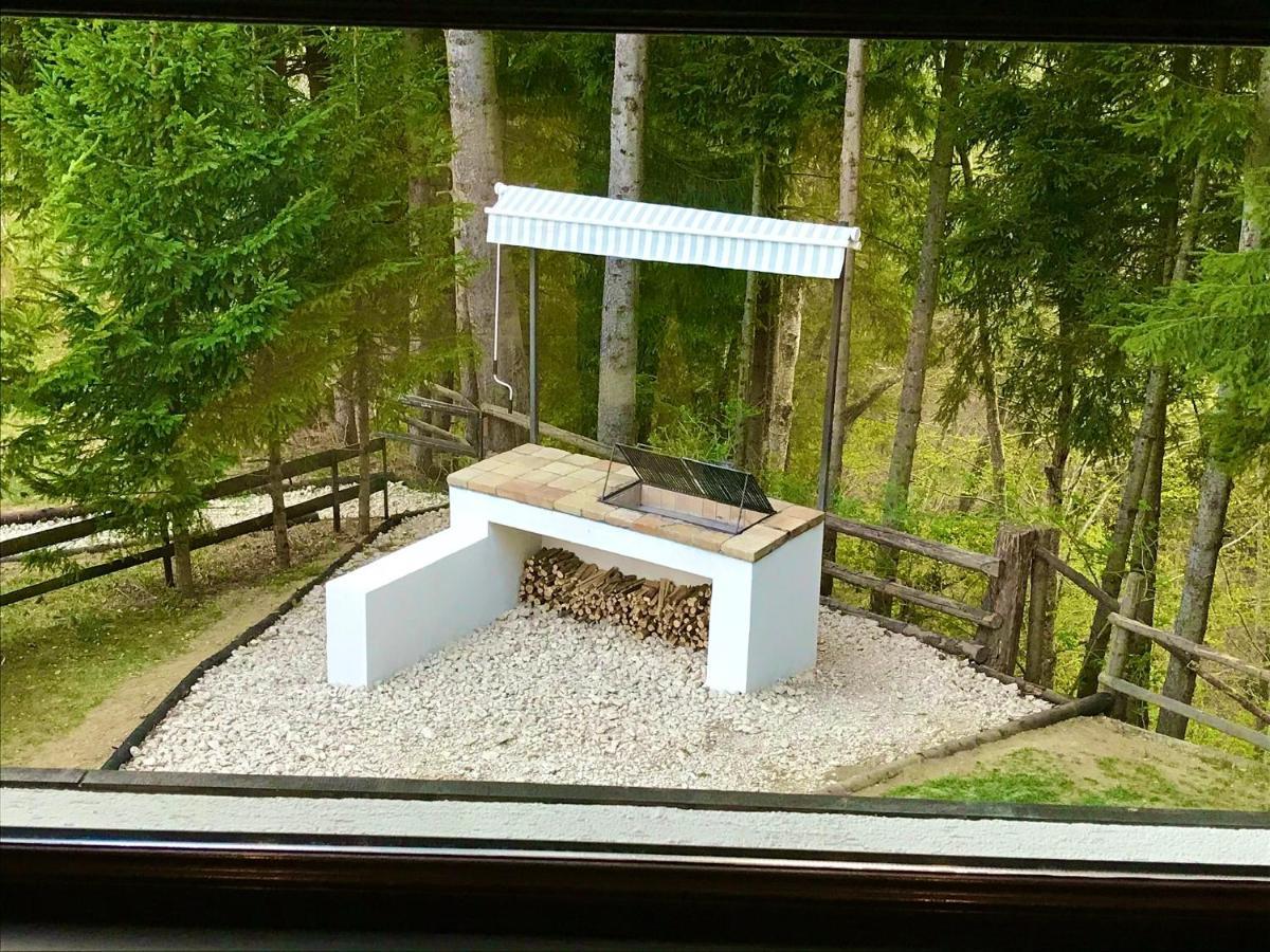 Cabana Haiducului Teşila エクステリア 写真
